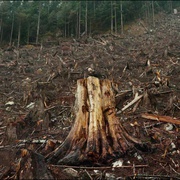 人类世 Anthropocene: The Human Epoch