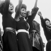 黑豹党：革命先锋 The Black Panthers: Vanguard of the Revolution