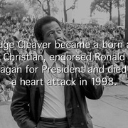 黑豹党：革命先锋 The Black Panthers: Vanguard of the Revolution