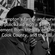 黑豹党：革命先锋 The Black Panthers: Vanguard of the Revolution