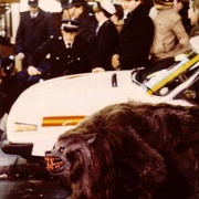 美国狼人在伦敦 An American Werewolf in London