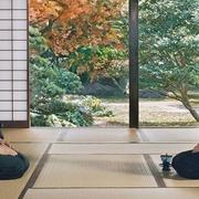 山茶花飘零 散り椿