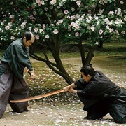 山茶花飘零 散り椿