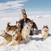 南极大冒险 Eight Below