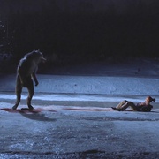 点击查看图片 雪谷之狼 The Wolf of Snow Hollow