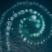 七个世界，一个星球 Seven Worlds, One Planet