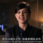 傲骨贤妻 第三季 The Good Wife Season 3