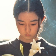 燕尾蝶 スワロウテイル
