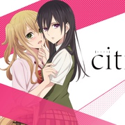 柑橘味香气 Citrus