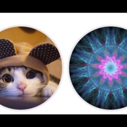 别惹猫咪：追捕虐猫者 Don't F**k with Cats: Hunting an Internet Killer