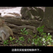 探索未知的边界 The Most Unknown