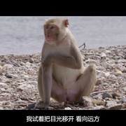 探索未知的边界 The Most Unknown