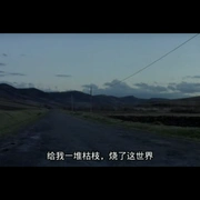 寻爱之旅 Transylvania
