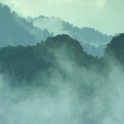 种出个地球 How To Grow A Planet