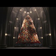 极地特快 The Polar Express