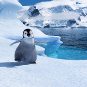 快乐的大脚 Happy Feet