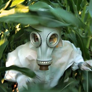 转基因，我的上帝！ GMO OMG
