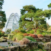 植物王国 Kingdom of Plants 3D