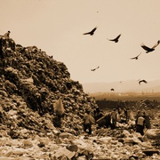 垃圾场 Waste Land