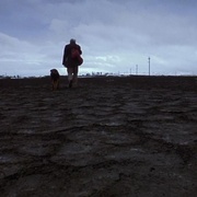 爱情是狗娘 Amores perros