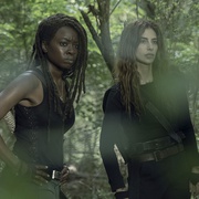 行尸走肉 第十季 The Walking Dead Season 10