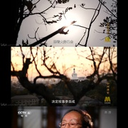 中国通史
