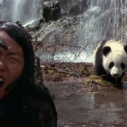点击查看图片 小猫熊历险记 The Amazing Panda Adventure
