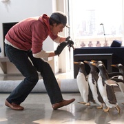 波普先生的企鹅 Mr. Popper's Penguins