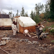 花村 McCabe & Mrs. Miller