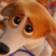 女王的柯基 The Queen's Corgi