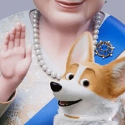 女王的柯基 The Queen's Corgi