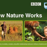 自然的运作 How Nature Works