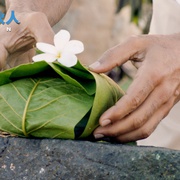 点击查看图片 印度合伙人 Padman
