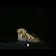 绝命鳄口 Black Water: Abyss