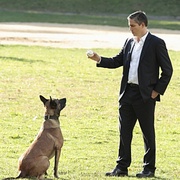 疑犯追踪 第二季 Person of Interest Season 2