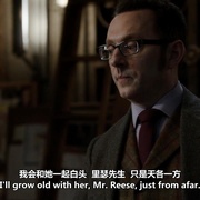 疑犯追踪 第二季 Person of Interest Season 2