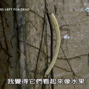 单挑荒野 第三季 Marooned With Ed Stafford Season 3