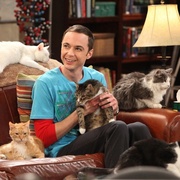 生活大爆炸  第四季 The Big Bang Theory Season 4