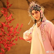 那年花开月正圆