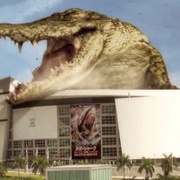 巨鲨大战食人鳄 Mega Shark vs Crocosaurus