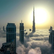 狂野阿拉伯 Wild Arabia