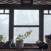 北方一片苍茫