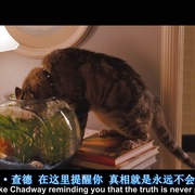 点击查看图片 丑陋的真相 The Ugly Truth