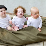 点击查看图片 三个臭皮匠 The Three Stooges