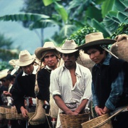 点击查看图片 北方 El Norte