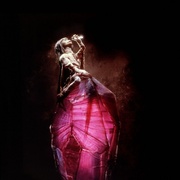 黑水晶 The Dark Crystal
