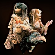 黑水晶 The Dark Crystal