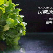 风味原产地·潮汕