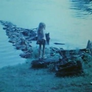 当我往前走之时偶尔会瞥到一缕美丽之景 As I Was Moving Ahead Occasionally I Saw Brief Glimpses of Beauty