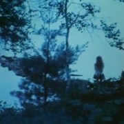 当我往前走之时偶尔会瞥到一缕美丽之景 As I Was Moving Ahead Occasionally I Saw Brief Glimpses of Beauty